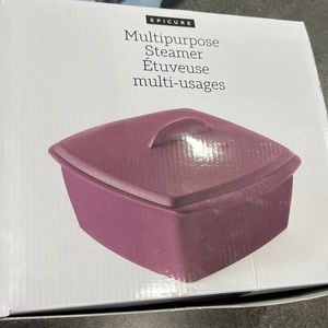 Multi purpose steamer